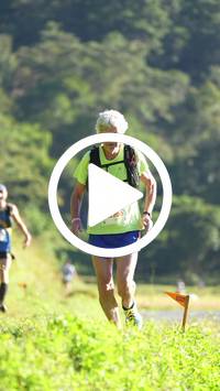 BIB:  <button type="button" onclick="openModal(26573867)" class="btn btn-primary btn-sm float-right" data-toggle="modal" data-target=".modal-high-quality">
                <i class="fa fa-download"></i> Download
                </button>